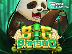 Pashagaming casino free spin84